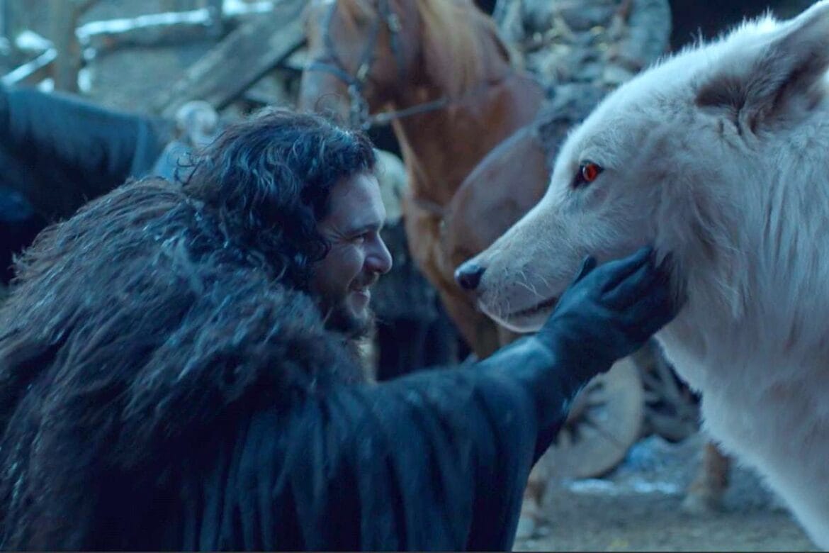 deekstinkcija strašnega volka2 Ali je bil res ‘obujen’ volk iz ‘Igre prestolov’, ki je izumrl pred 10.000 leti?