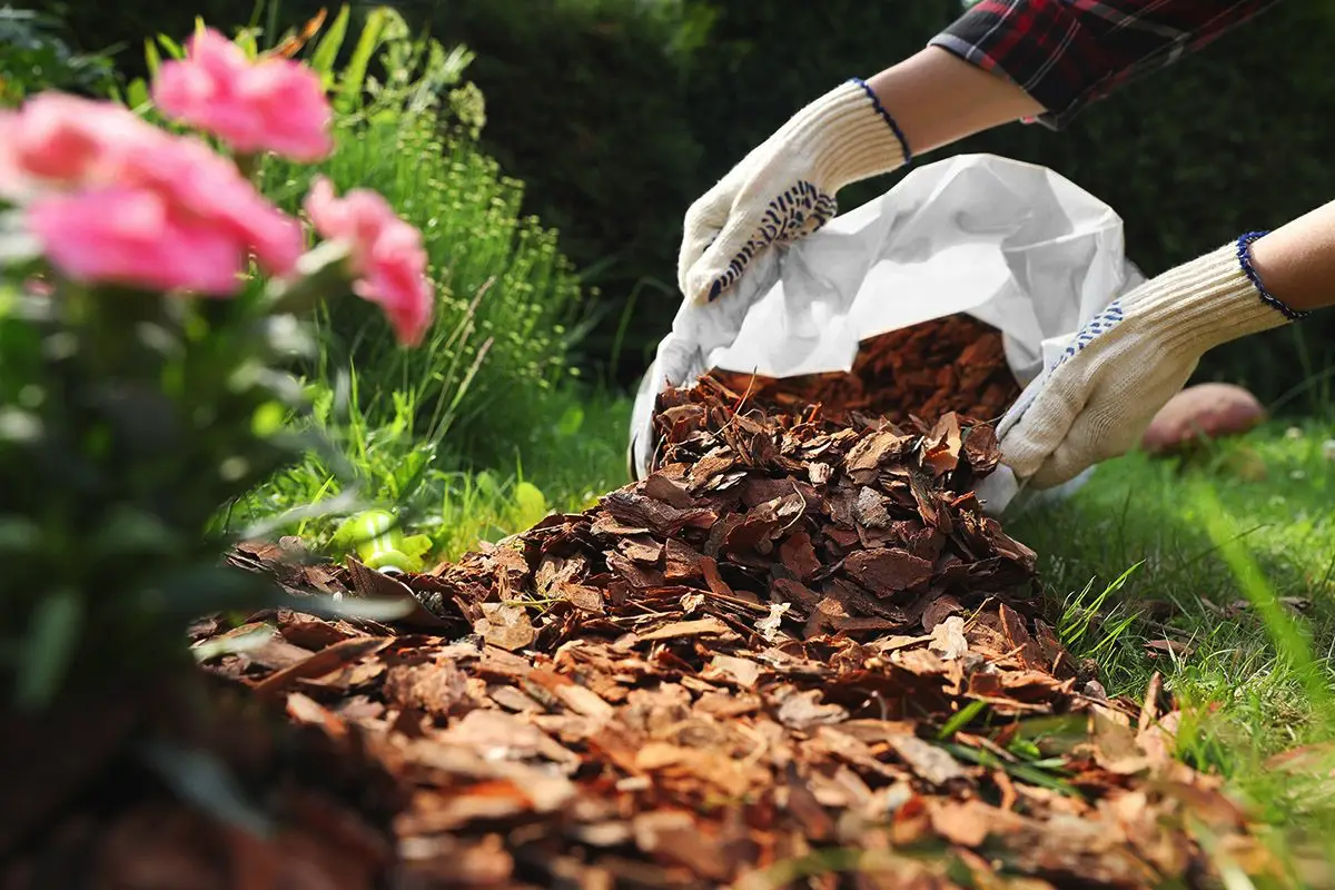 DIY: Ne zavrzite lubja dreves z vrta – ustvarite viseče lončke za sobne rastline
