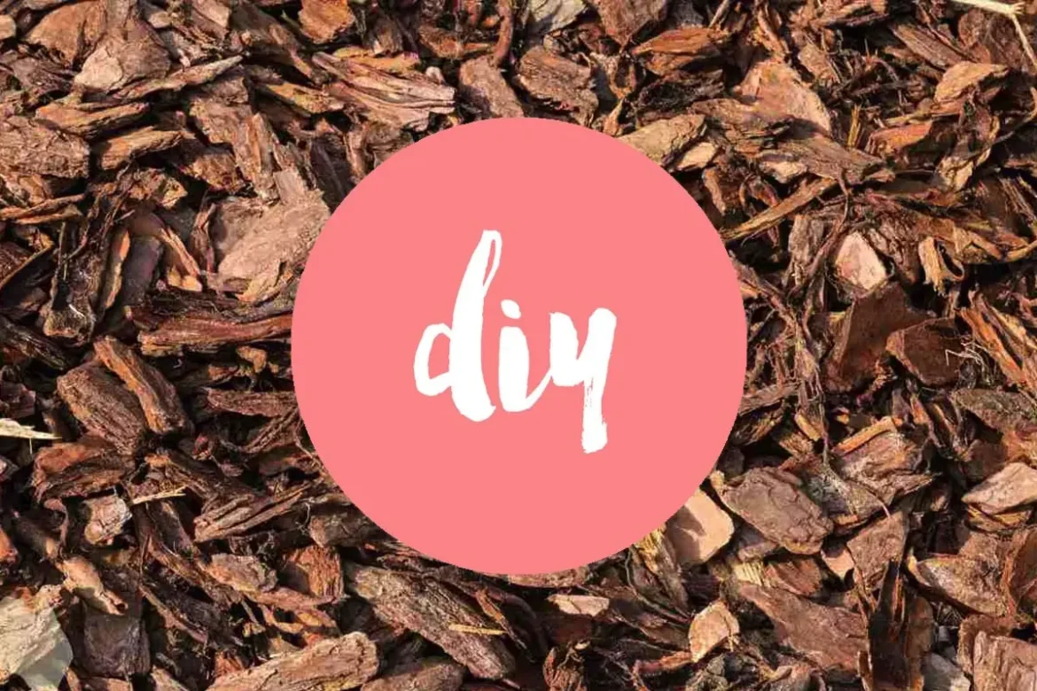 DIY-viseči-lončki-iz-lubja4 DIY: Ne zavrzite lubja dreves z vrta – ustvarite viseče lončke za sobne rastline