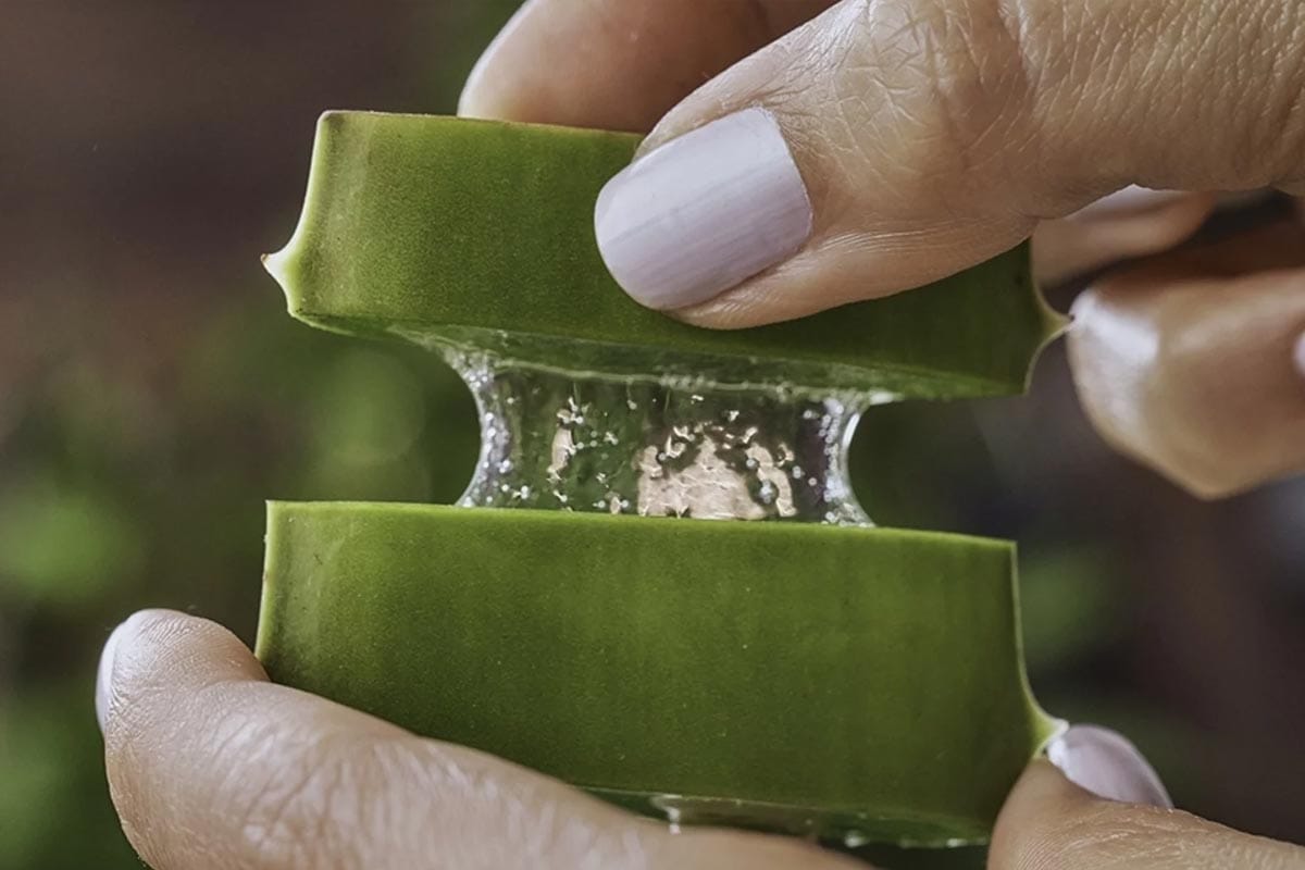 Ne zapravljaj za hialuronsko kislino: kako narediti domač kolagen za odpravo gub s samo 5 sestavinami