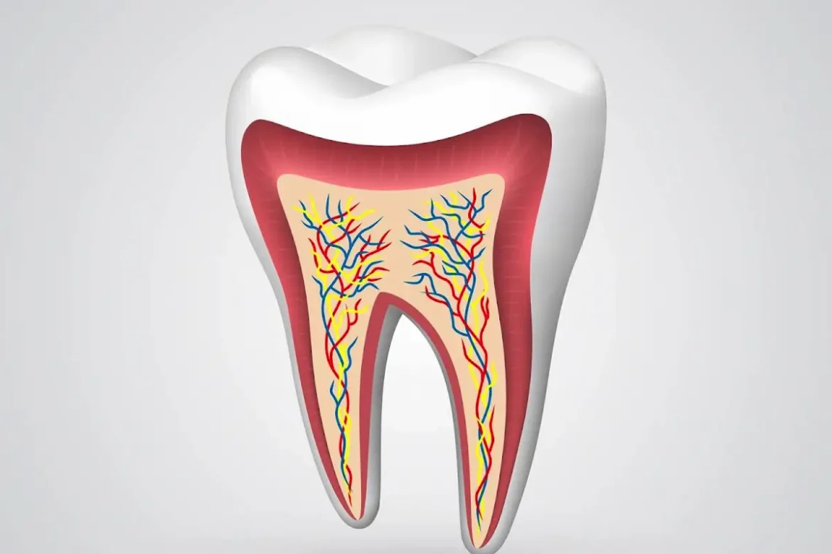 Emajlirani izziv: Trije izdelki, ki najbolj škodujejo zobni sklenini