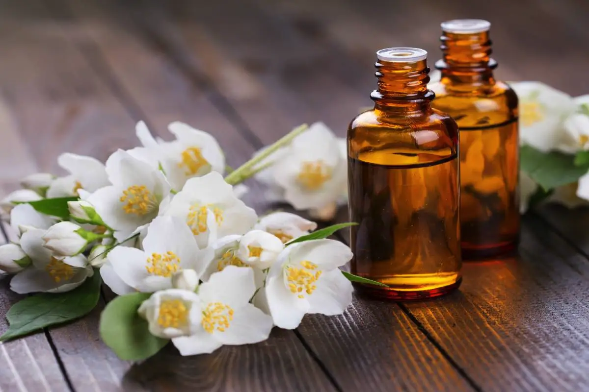 Eterična olja proti staranju: katera izbrati za boj proti povešenosti in gubam