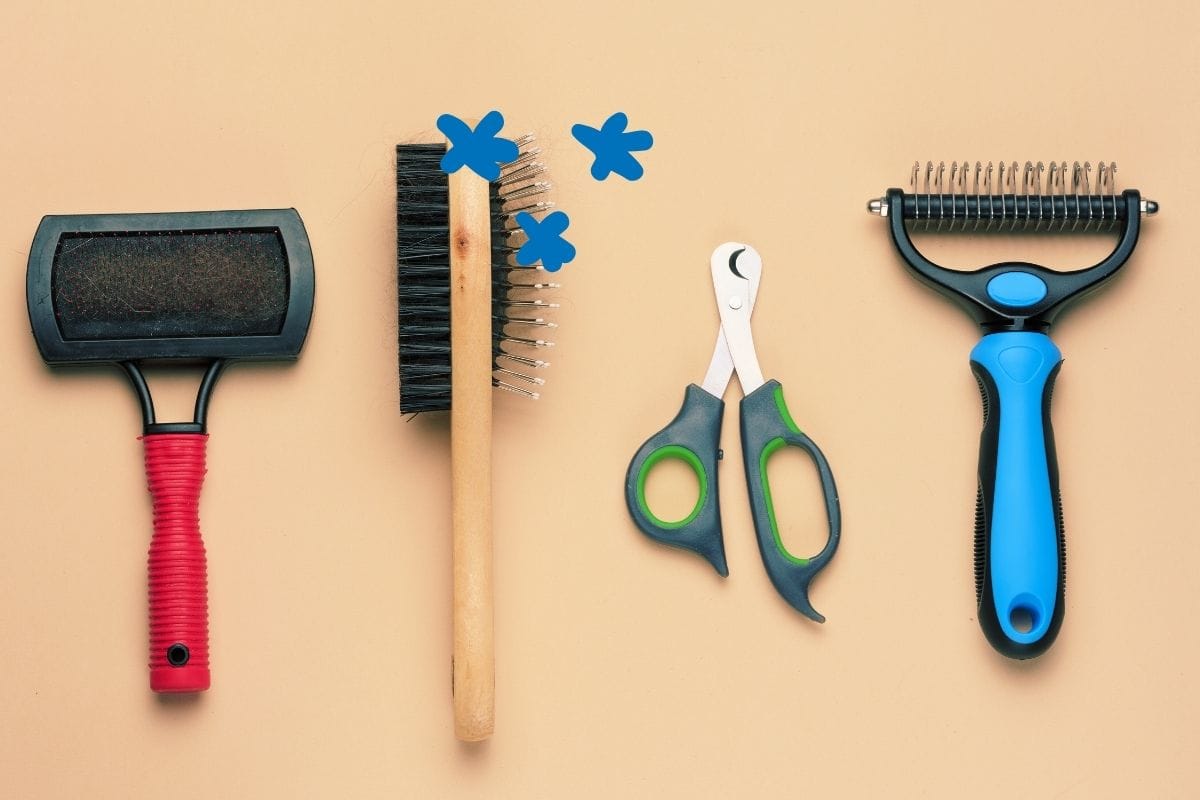 Adijo dlakam: To je idealen krtač za tvojega psa glede na tip dlake