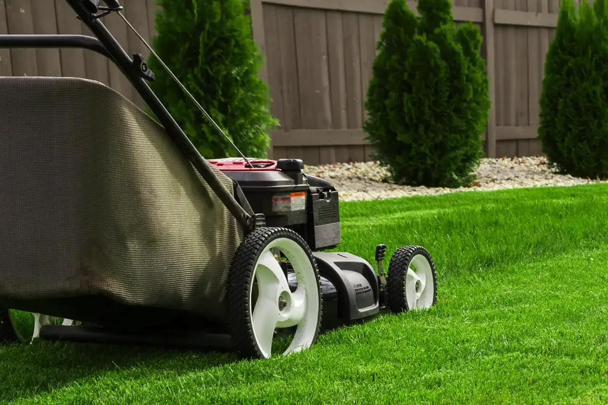 Kako kositi trato, da bo trava dlje ostala zelena: Izogibajte se eni ključni napaki