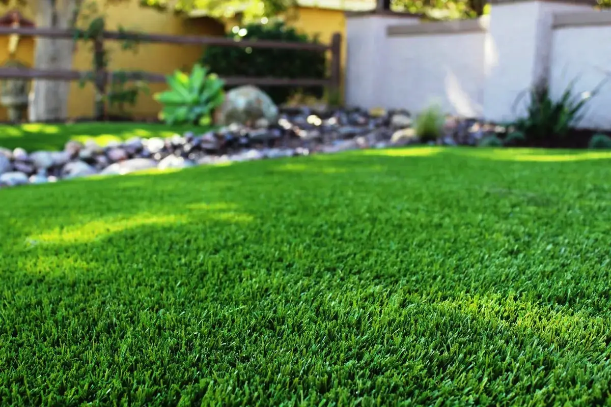 Kako kositi trato, da bo trava dlje ostala zelena: Izogibajte se eni ključni napaki