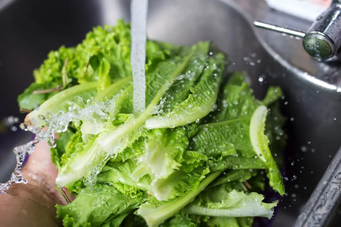 Kako pravilno shraniti solato, da bo sveža do šest tednov: preprost trik, ki deluje