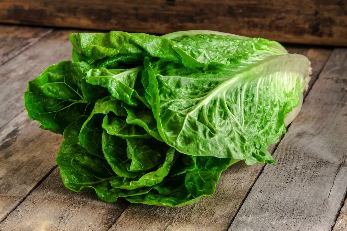 Kako pravilno shraniti solato, da bo sveža do šest tednov: preprost trik, ki deluje