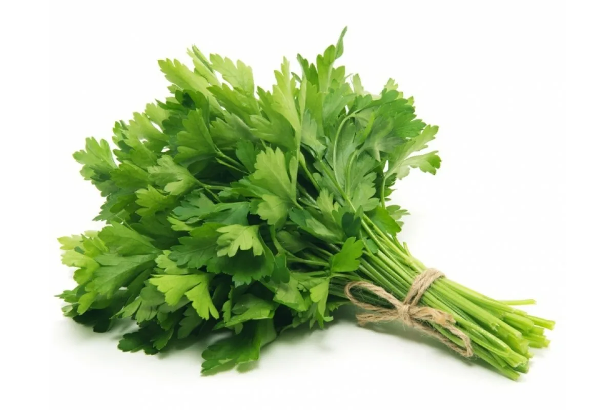 Katere aromatične rastline morate imeti v kuhinji: 5 zelišč za sveže sestavine skozi vse leto