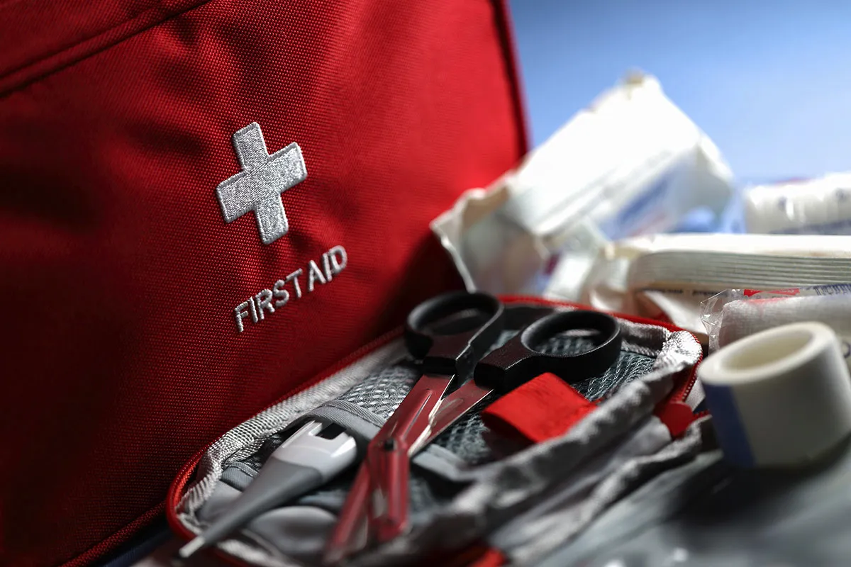 Komplet za nujne primere: Alarmizem ali zdrava pamet?