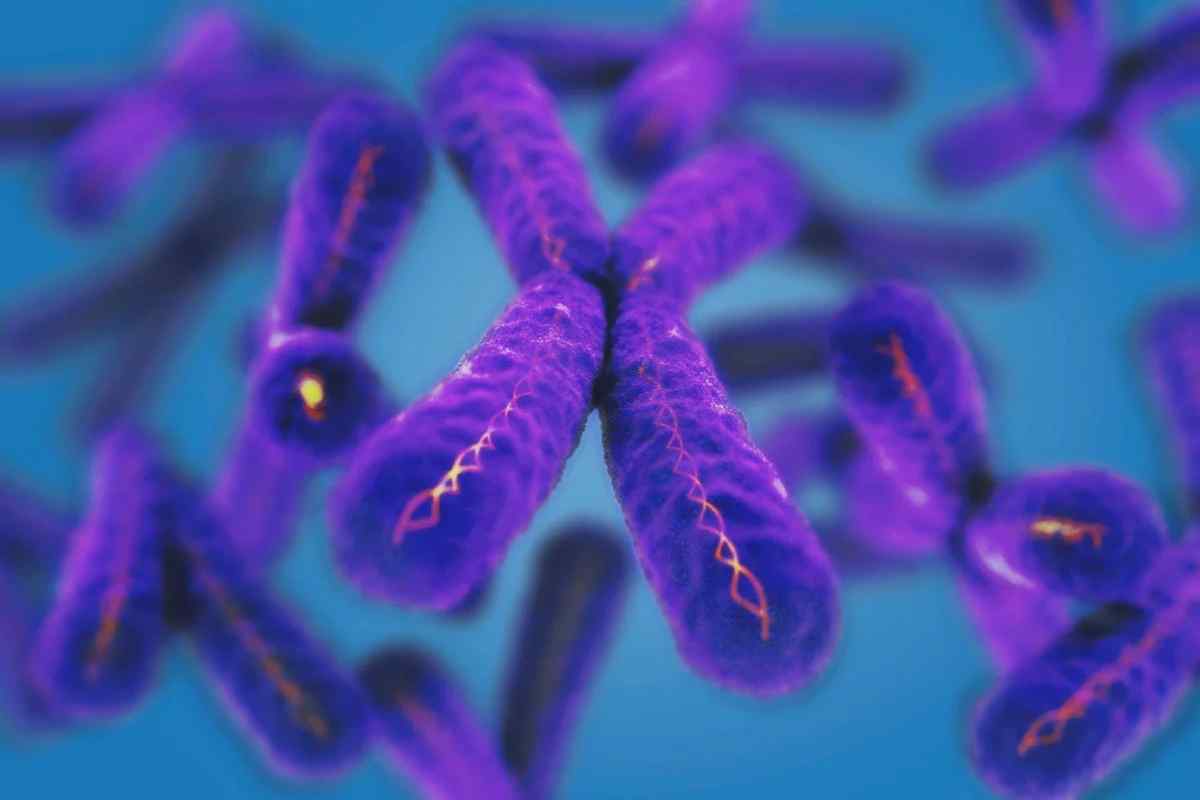 Kromosom X razkriva nove informacije o staranju: zakaj ženske živijo dlje kot moški