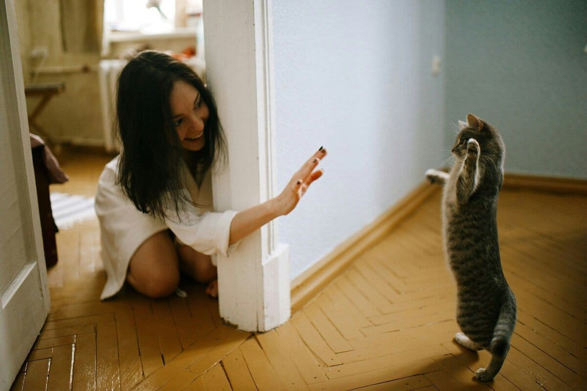 Ali moja mačka ve, če sem bolan? Kako mačke zaznavajo bolezni