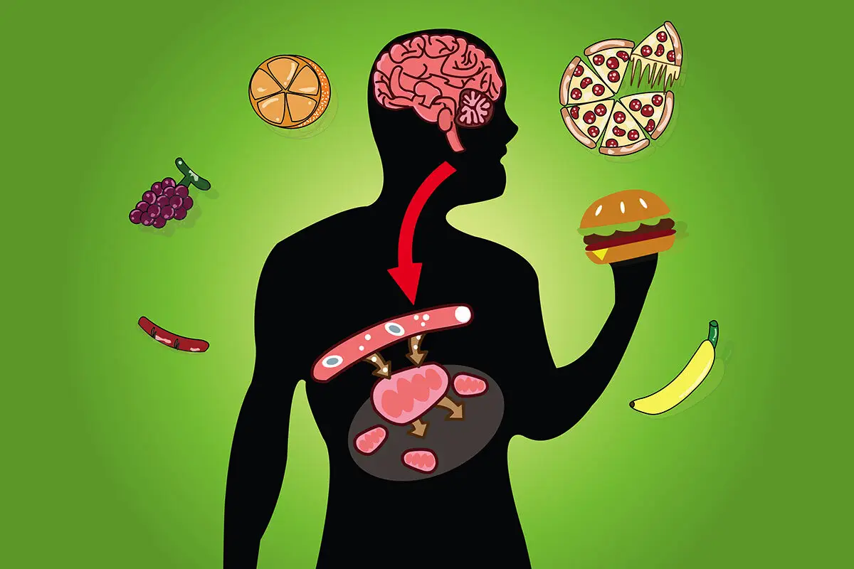 Kaj je metabolizem in kako ga pospešiti: 10 načinov
