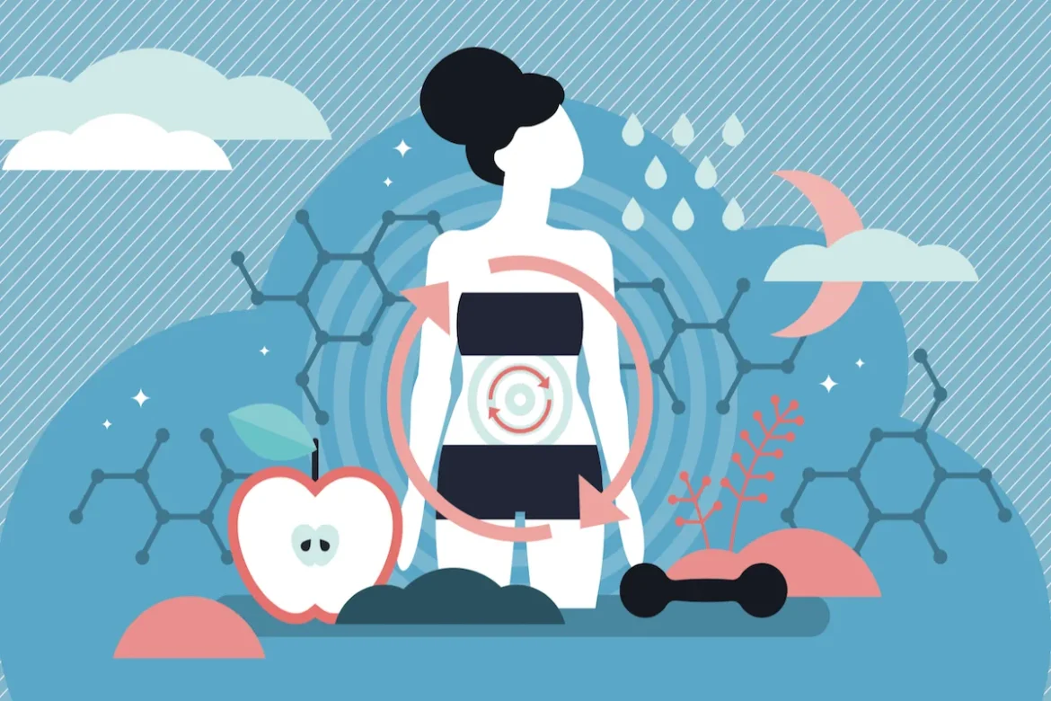 Metabolizem1 Miti o presnovi ali zakaj pospeševati metabolizem