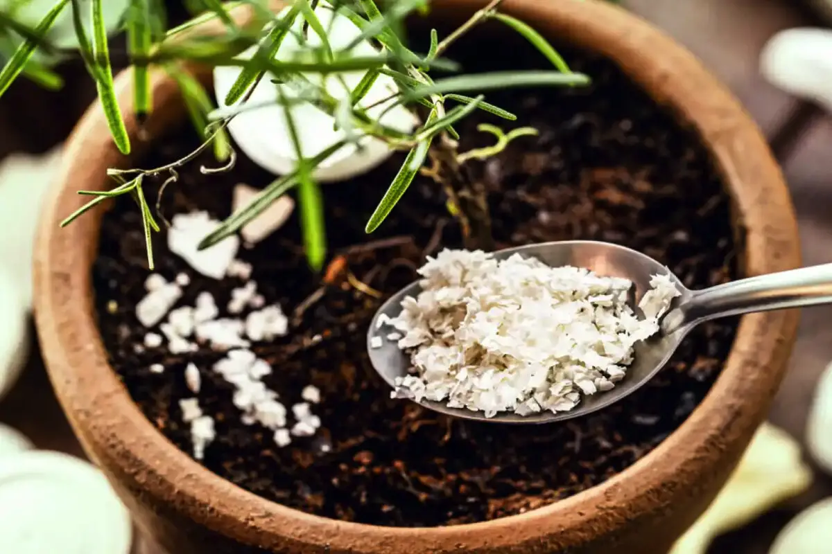 7 napak, ki jih naredite aprila in preprečijo, da bi vaš vrt zacvetel v polnem sijaju