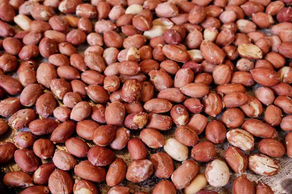 Umrl je jajce: orešček z največ beljakovinami in vitamini, ki znižuje holesterol in krepi srce