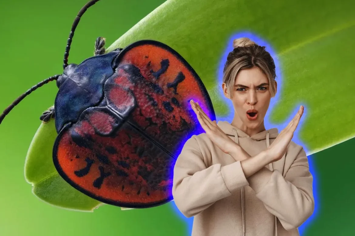 Kako z embalažo belila narediti učinkovito past za škodljivce na vrtu?