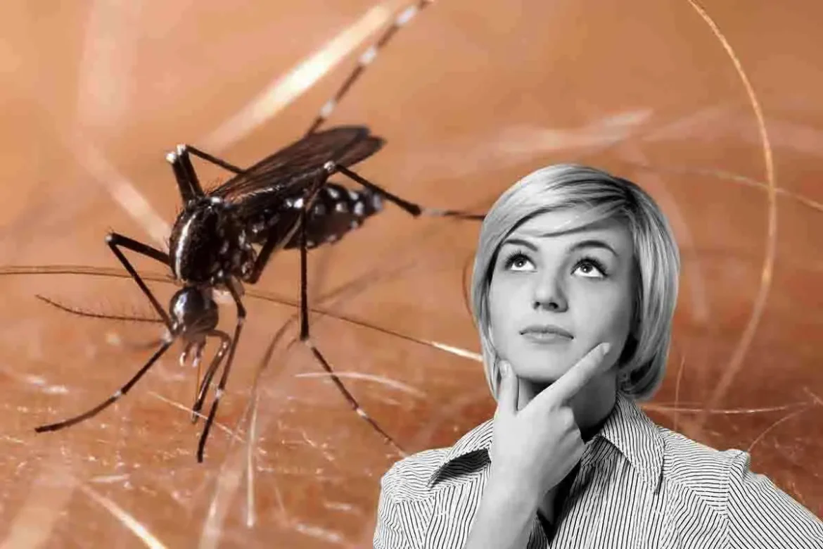 pika komarja Kako se znebiti pika komarja in zdraviti srbenje: nasveti zdravnika