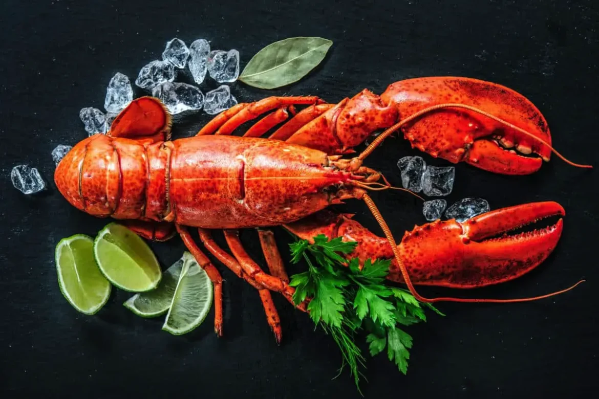 Zakaj raki in jastogi ob kuhanju pordečijo?