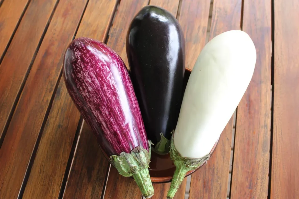 Kakšne so razlike med črnim, belim in progastim jajčevcem: kateri je najboljši?