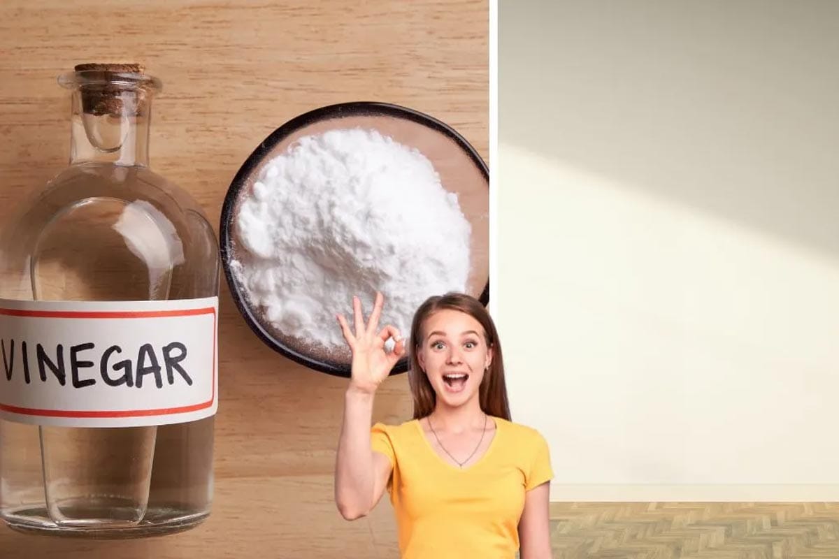 Zakaj na steno nanesti sodo bikarbono in kis: kako to pomaga?