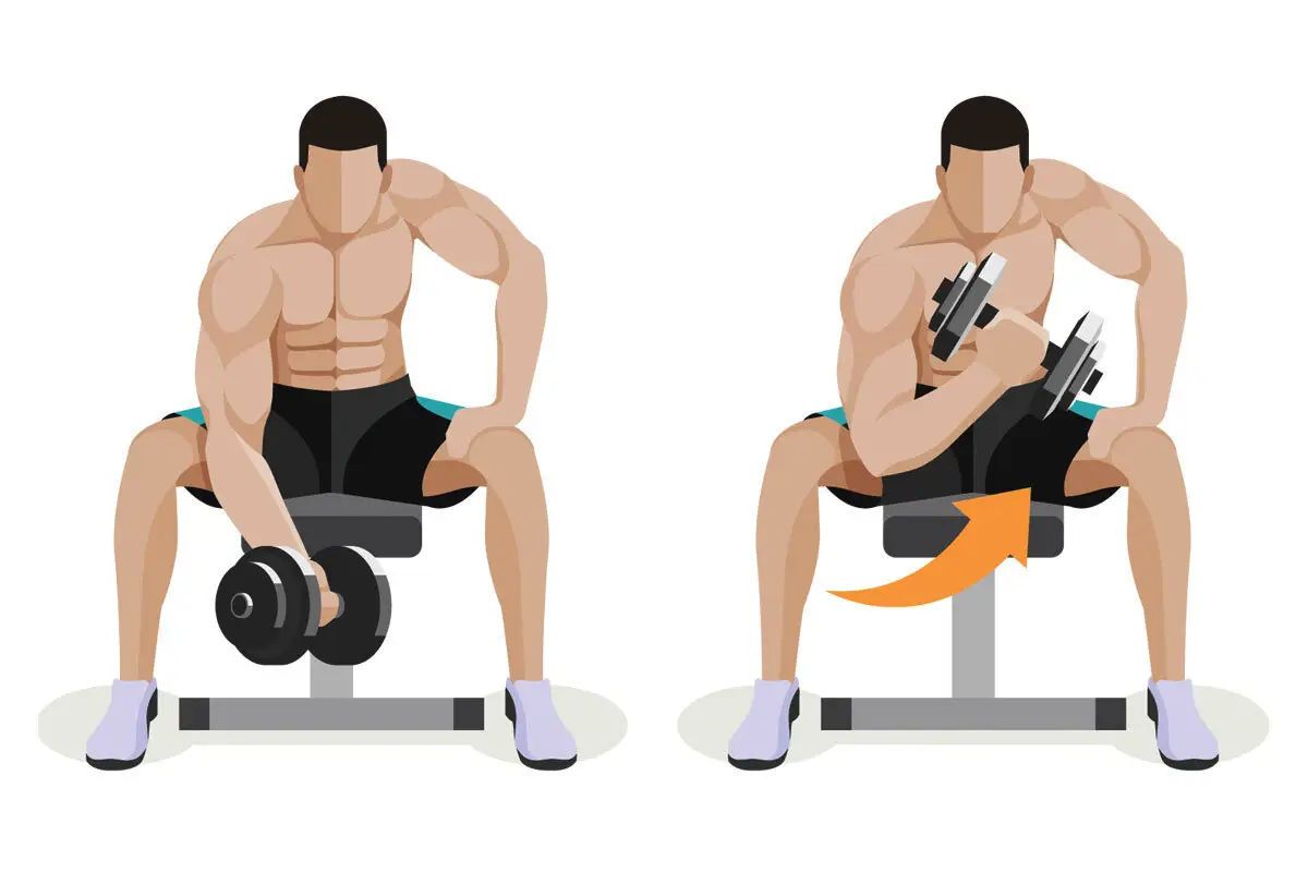 Vaje za biceps: z utežmi, v telovadnici in brez opreme