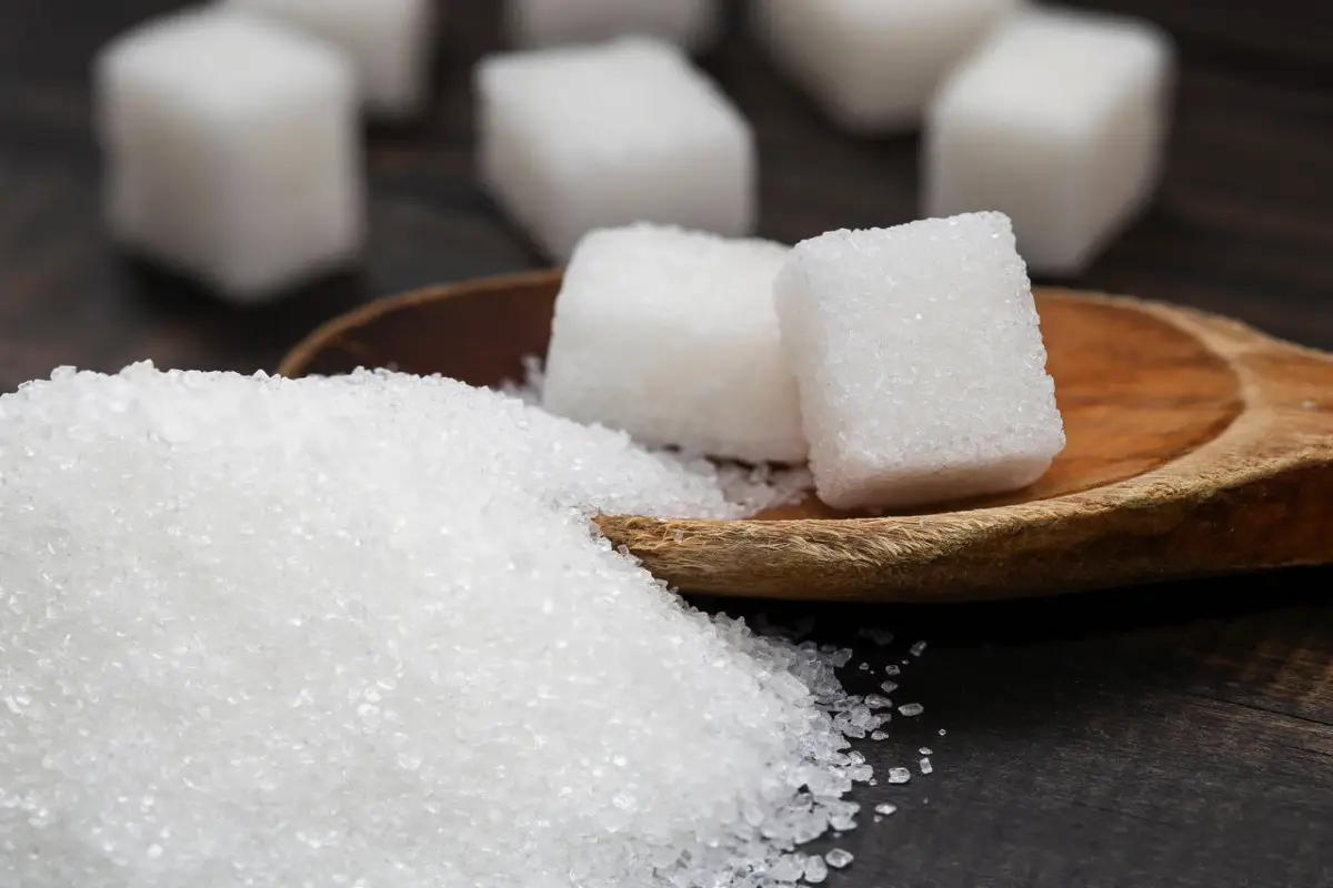 Kaj dodati v vodo za vrtnice: Šopek bo obstojen 2 tedna