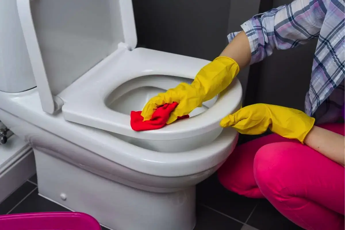 Generalno čiščenje stranišča: preprosti koraki za manj pogosto čiščenje – nasveti strokovnjakov