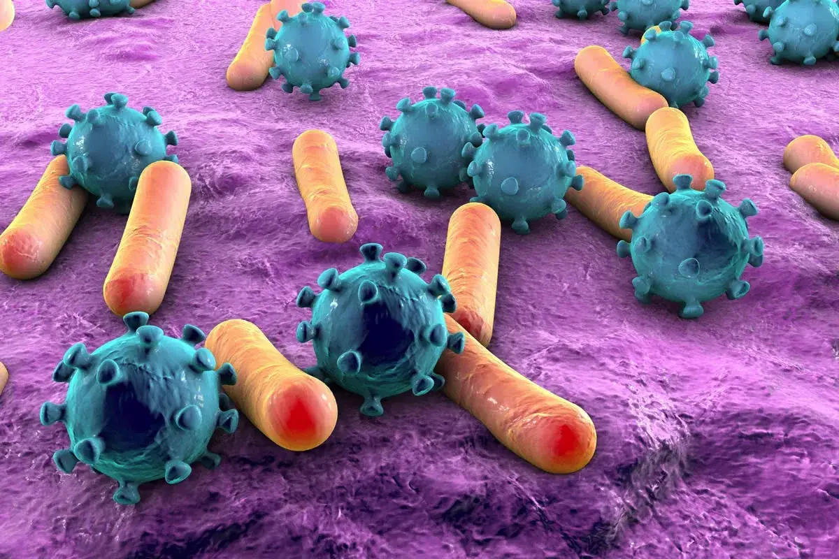 Ne le stranišče: Ali se lahko v javnem stranišču nalezeš bolezni prek straniščne deske?