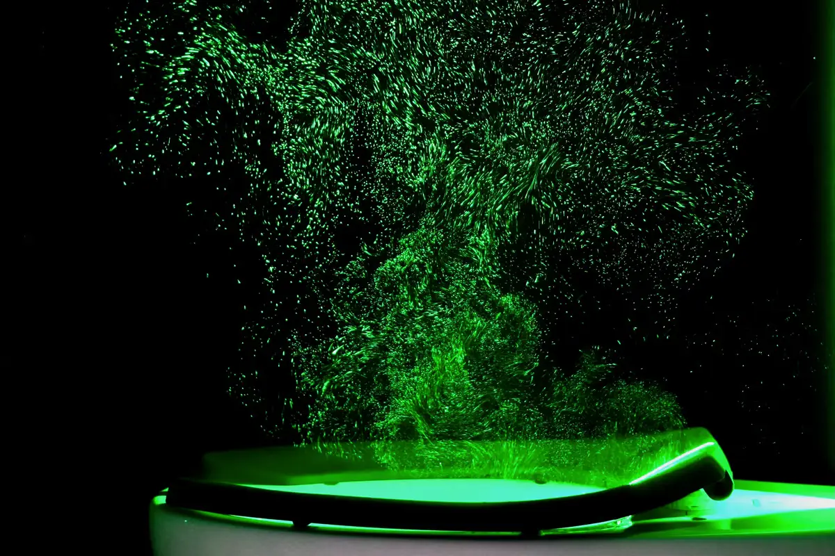 Ne le stranišče: Ali se lahko v javnem stranišču nalezeš bolezni prek straniščne deske?