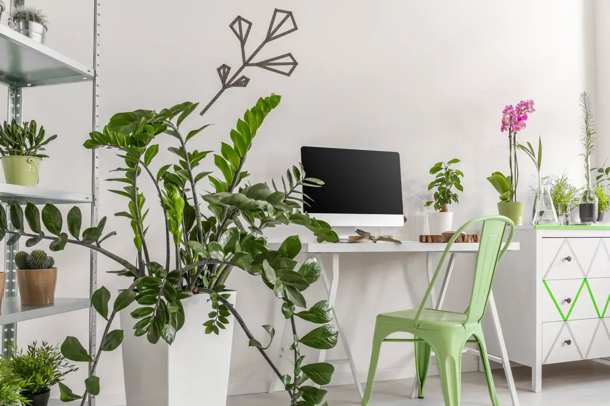 Kako ustvariti udoben mikroklimat doma za manj utrujenosti in boljši spanec