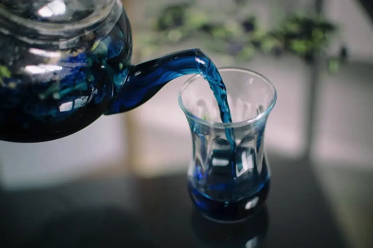 Modri čaj: kaj je to in ali je res koristen?