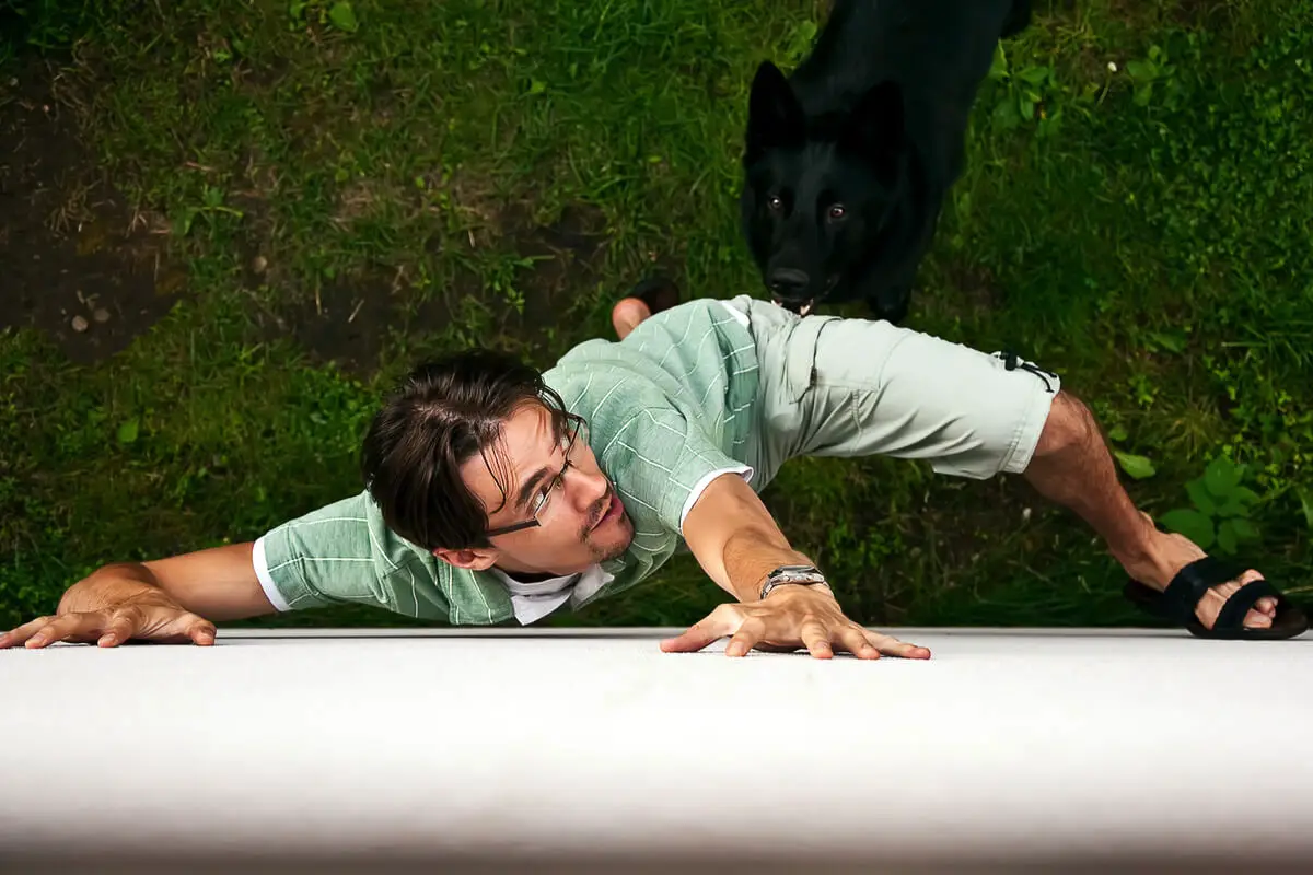 Ali res drži, da lahko psi zaznajo človeški strah?