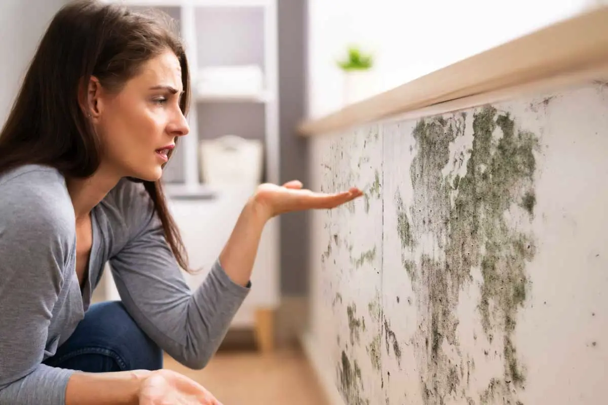 Kako se znebiti plesni v kopalnici