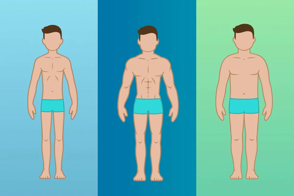 Kaj je tip telesne zgradbe in kako ga določiti?