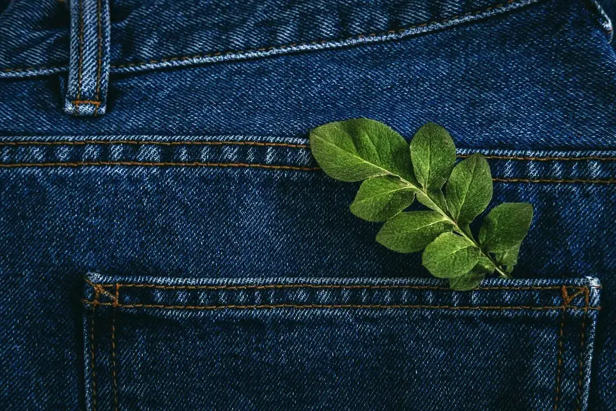 6 najboljših načinov za odstranjevanje travnih madežev z jeans hlač