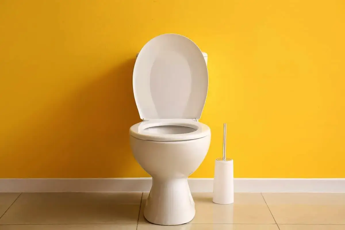 To vstavite v kotliček stranišča: v stranišču bo vedno dišalo po svežem