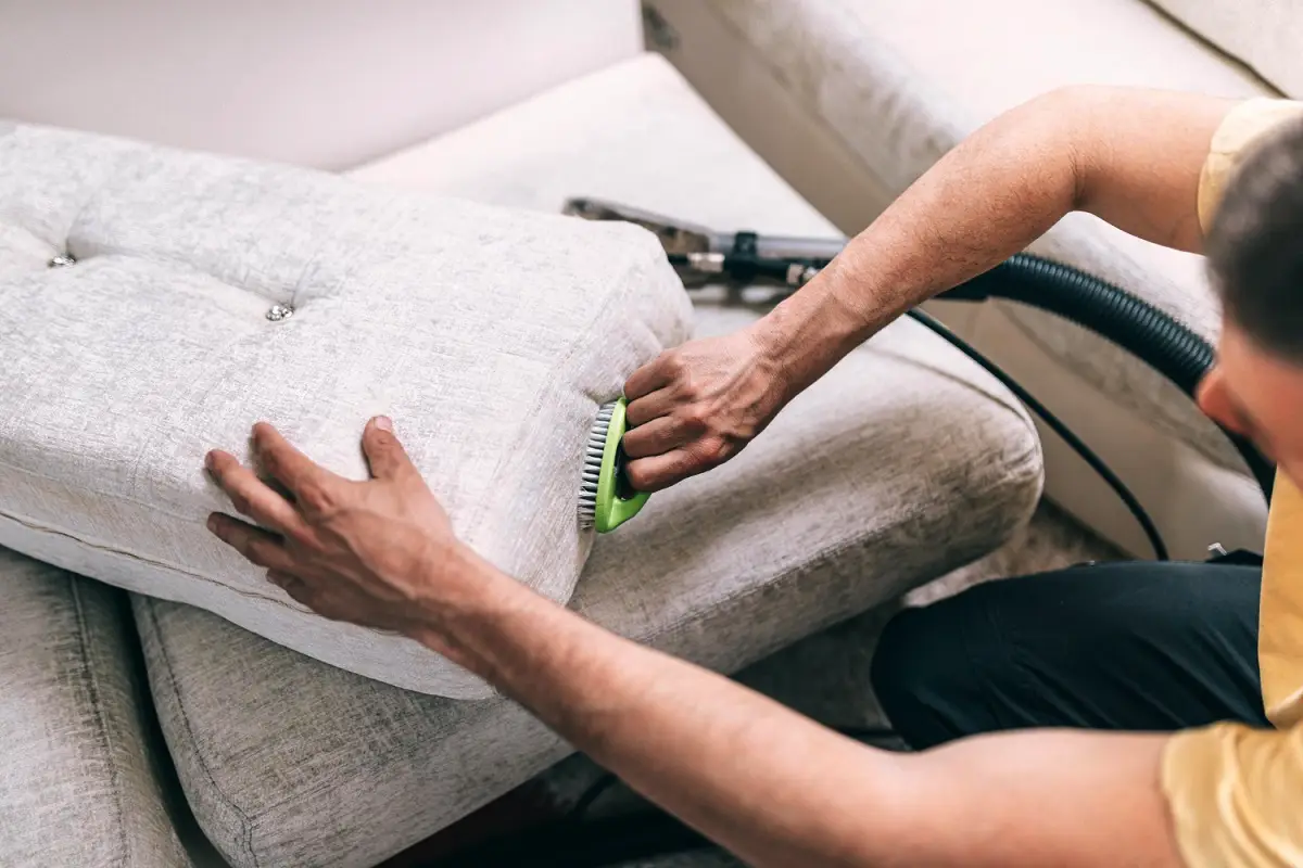 Kako odstraniti neprijetne vonjave z divana: 6 učinkovitih načinov