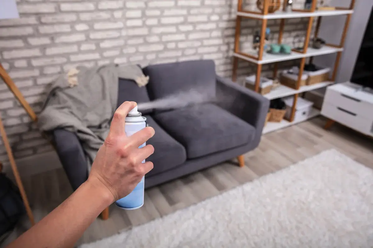 Kako odstraniti neprijetne vonjave z divana: 6 učinkovitih načinov