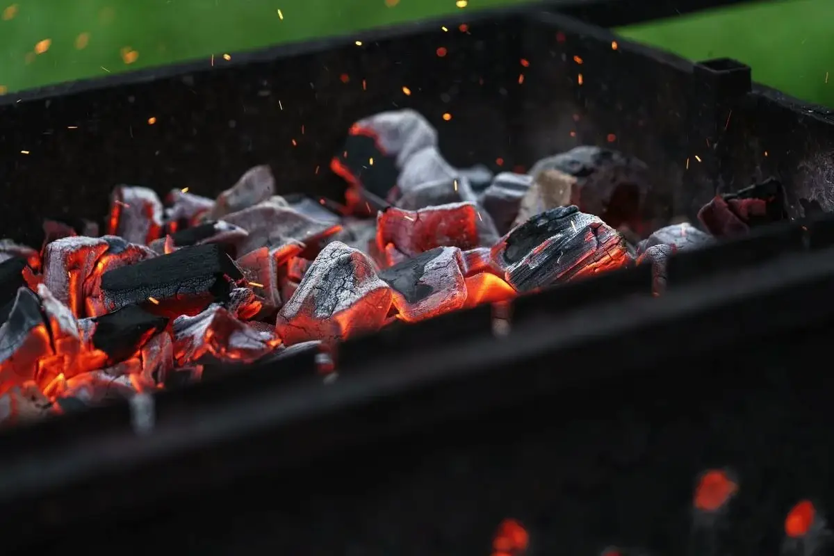 Kako pravilno zakuriti oglje za žar: preprosti triki za začetnike