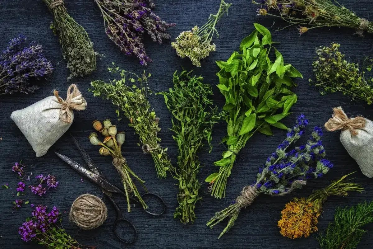 Zelišča proti podočnjakom: 3 recepti naravnih obkladkov, ki delujejo bolje kot obliži