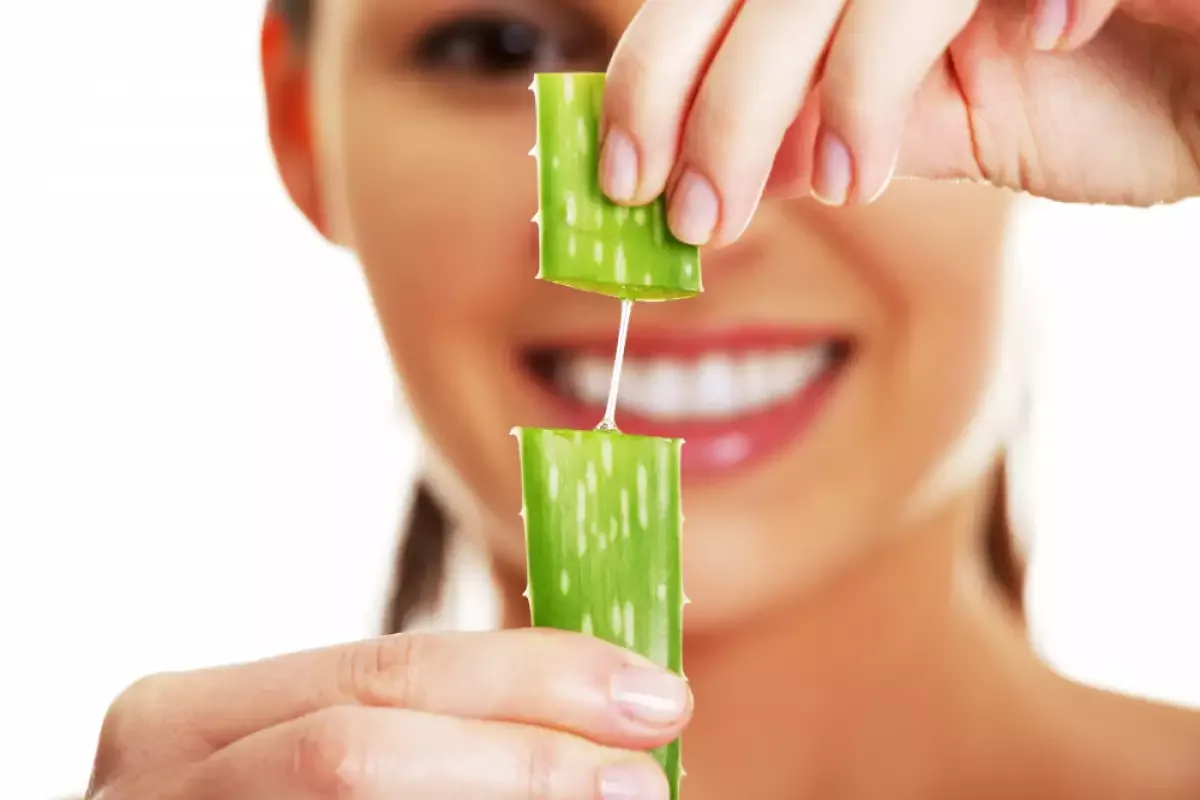 Aloe vera proti gubam: naravni eliksir za mladosten videz