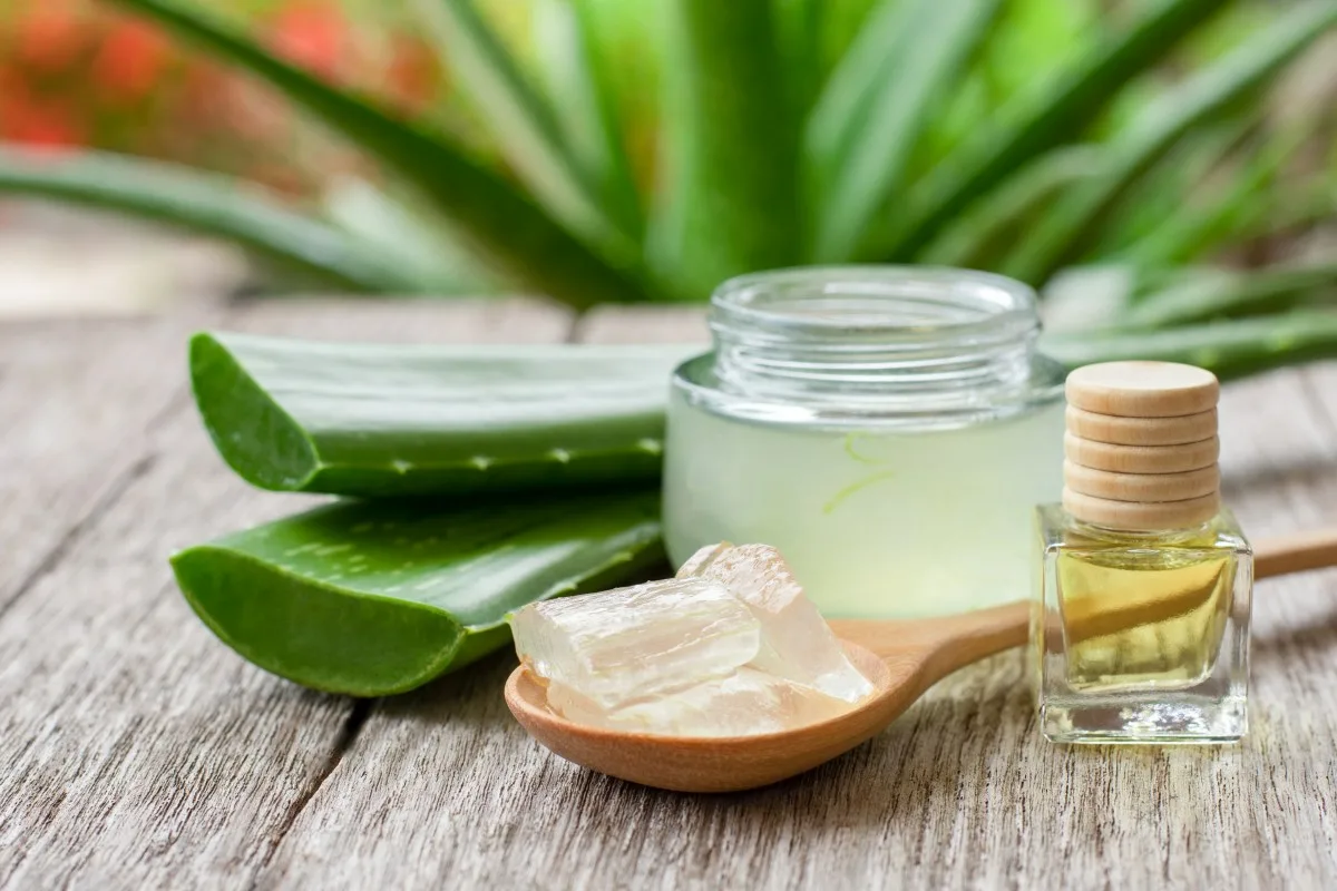 Aloe vera iz Slovenije: Naravni sprej za vlaženje suhih las