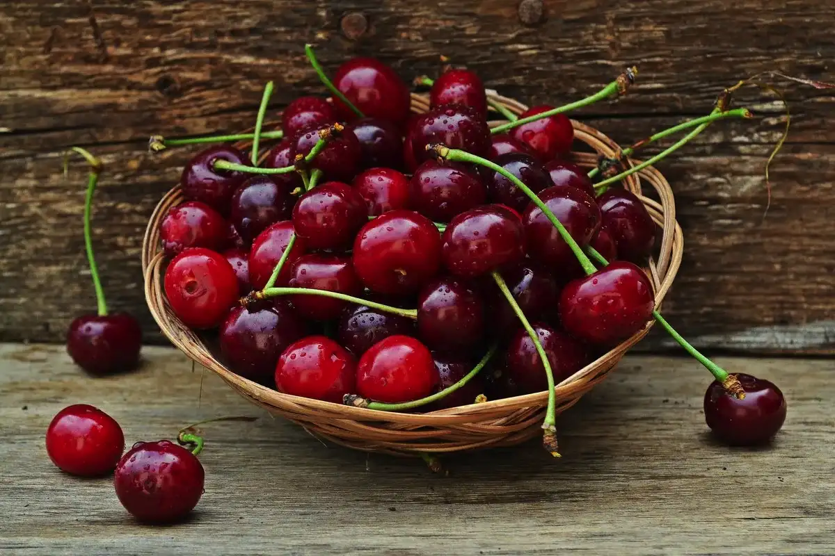 6 sadja, ki ga je bolje uživati zamrznjenega kot svežega: dietetiki razkrivajo skrivnosti