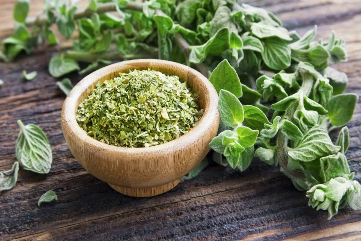 Močni učinki čaja iz origana za lajšanje bolečin v trebuhu