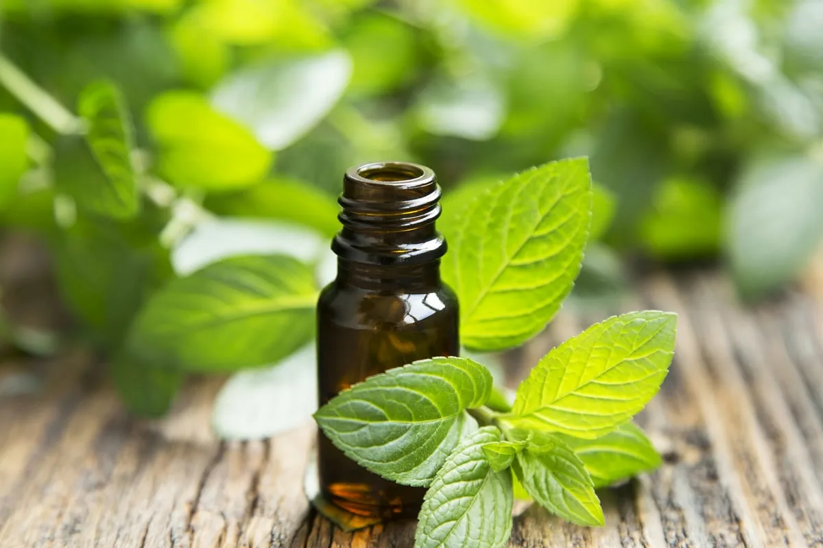 Domači trik za WC: Mešanica, ki ohranja čistino in svežino do mesec dni