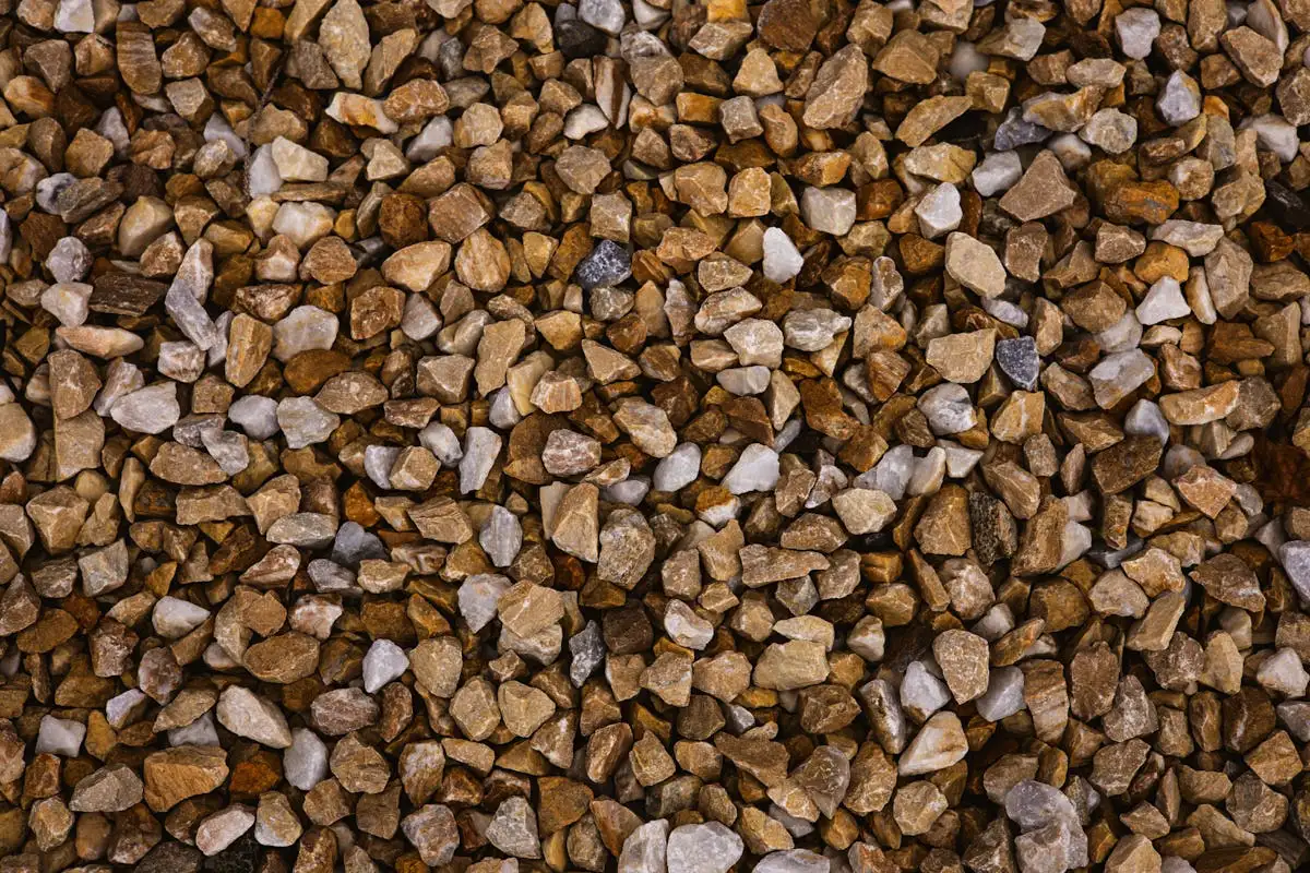 Zdrav jadeov drevesec z idealno zemljo: Recept za popoln sustrat