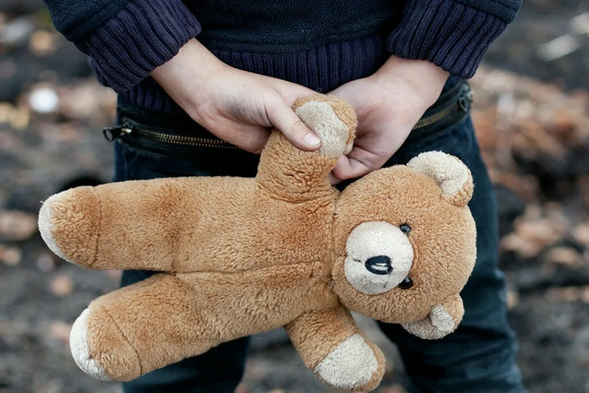 Kako očistiti plišasto igračo: preproste metode za svežino