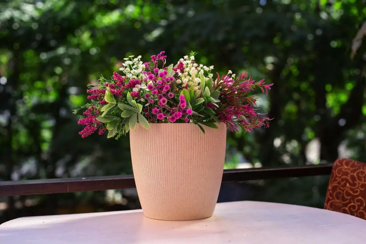 Magnolija v loncu: drevo, ki napolni vrt z dišavo