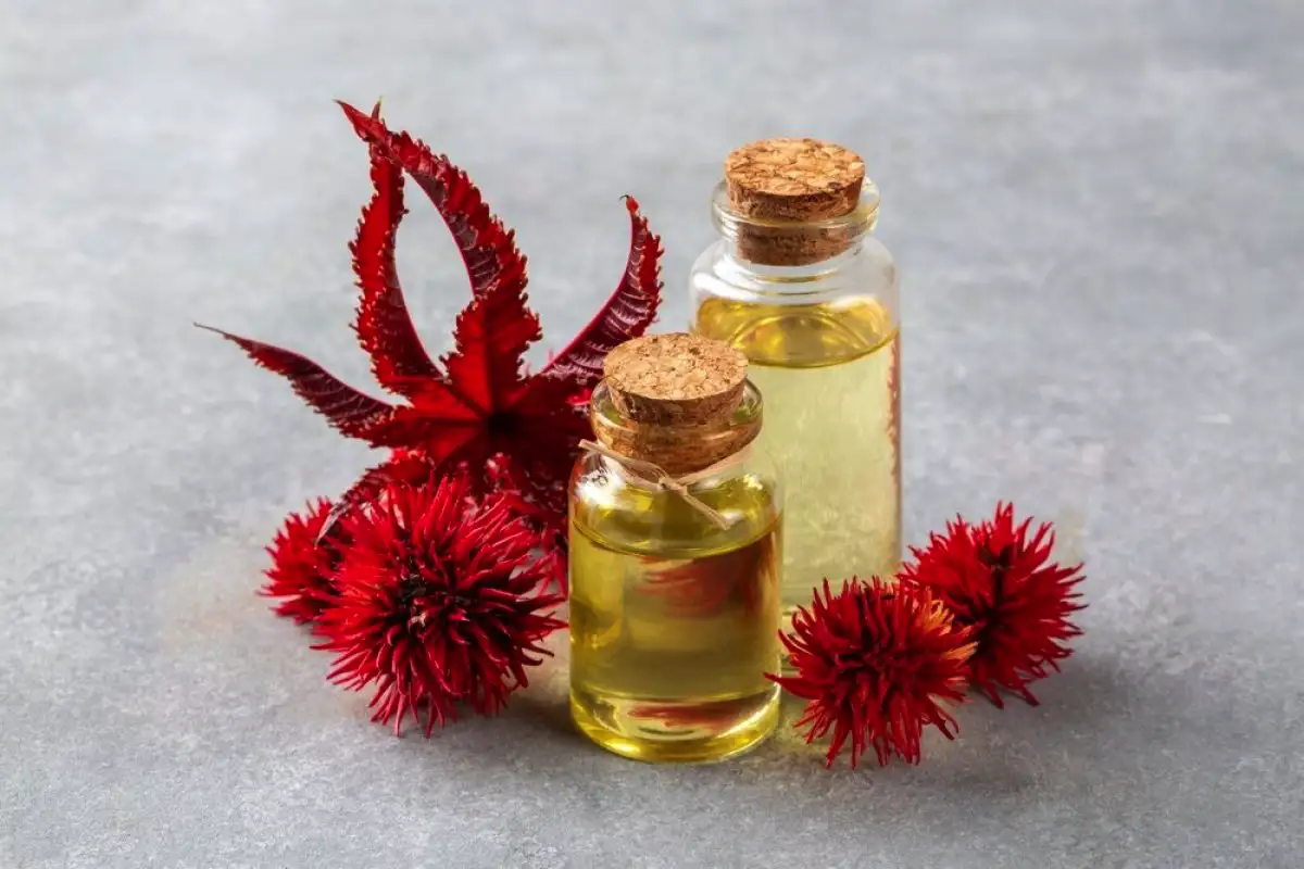 Maske za rast las: Kako jih narediti doma iz preprostih sestavin