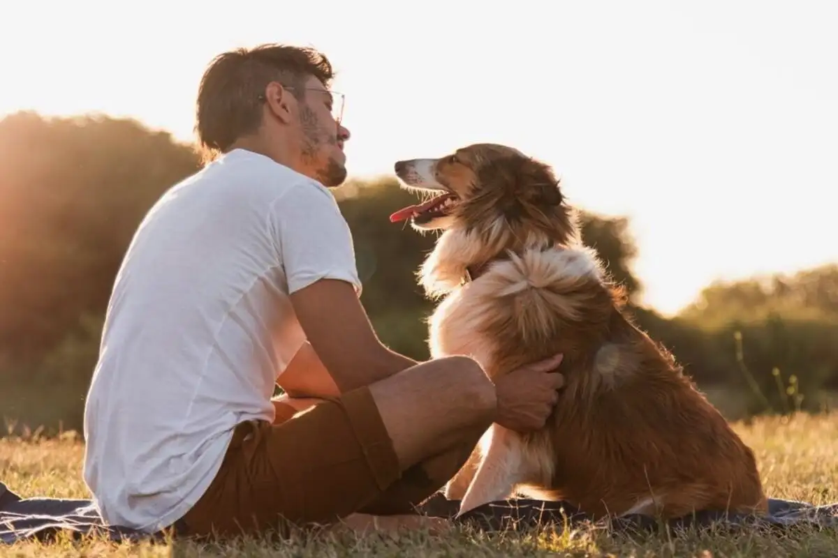 Pogovor s psom kot z dojenčkom: Kaj razkriva o tebi?